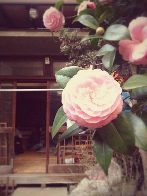 Gomaharu Guesthouse Osaka Exterior foto